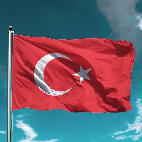 Türk Bayrağı 50X75 cm Alpaka Kumaş 5 Adet