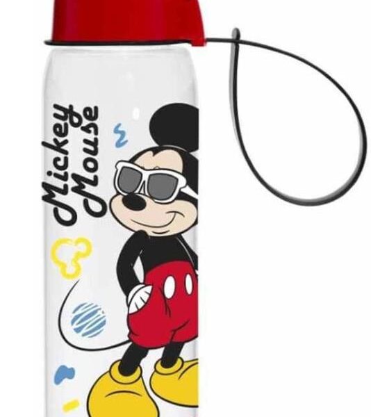 HEREVİN MATARA MICKEY MAUSE ESENLİ 500 ML