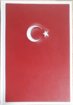 GÜLPAŞ 15 TEMMUZ DEFTERİ 13X33 100 YP. - Görsel 2