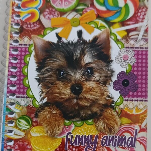 KAĞITSAN DEFTER A6 SPİRALLİ
