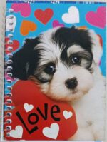 KAĞITSAN DEFTER A6 SPİRALLİ - Görsel 3
